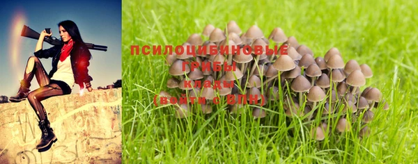 прущий лед Белоозёрский