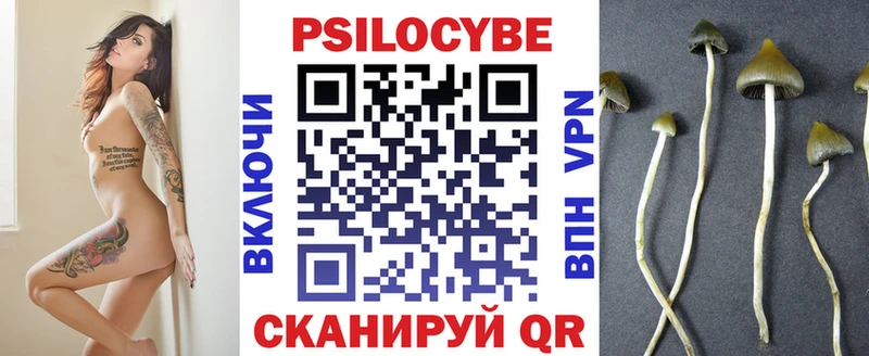 Псилоцибиновые грибы мицелий  мега как зайти  нарко площадка Telegram  Оха 